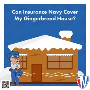 Insurance Navy