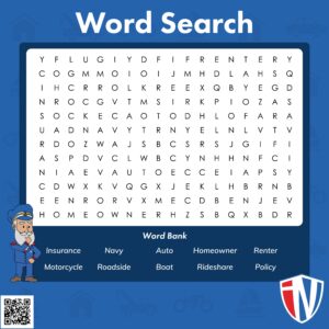 Insurance Navy